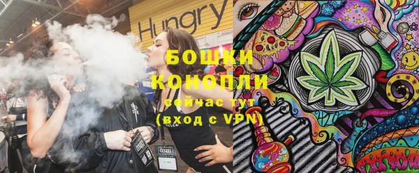 прущие крисы Гатчина
