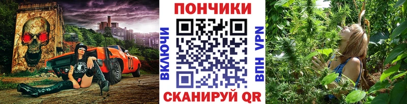 Канабис SATIVA & INDICA  Купить где  Дигора 